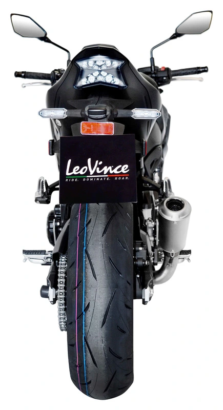 LeoVince LV-10 silenziatore con om. CE