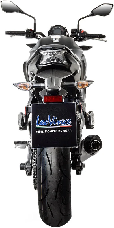 LeoVince LV-One Evo Exhaust System
