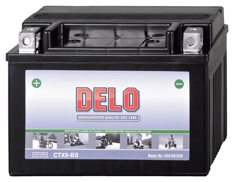 DELO BATTERY MAINT.-FREE