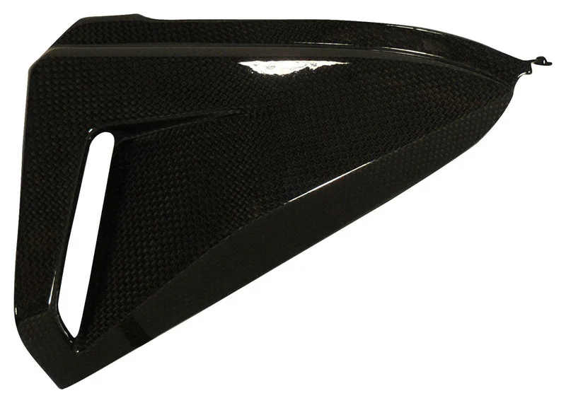 Carbon parts for Honda CB1000 R 08-16