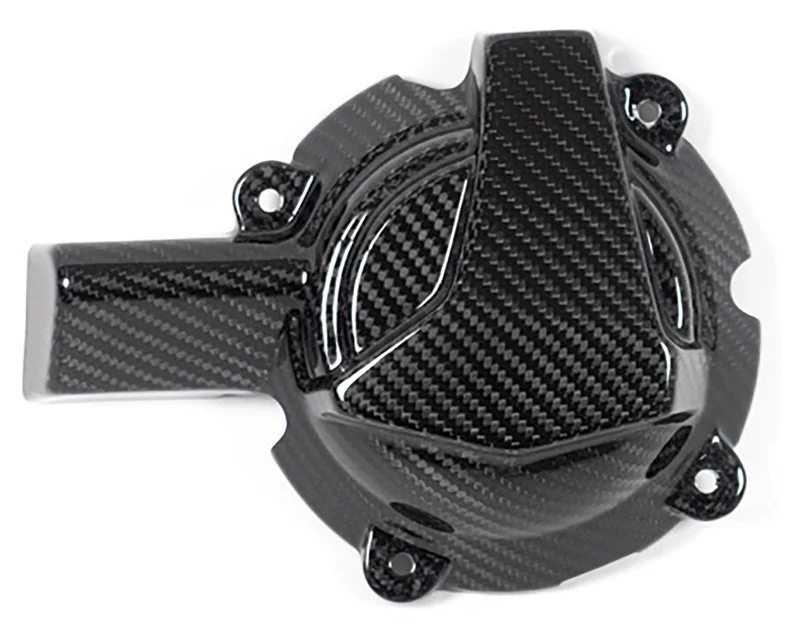 Carbonteile für BMW S1000 RR ab 2019