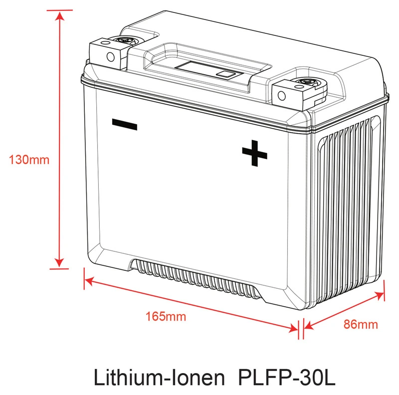 BATTERIE LITHIUM-ION DELO