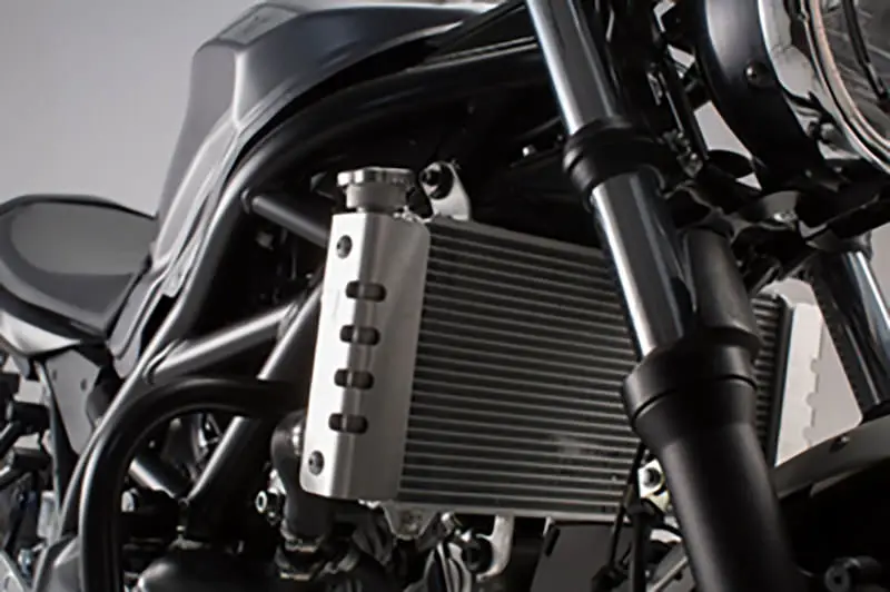 SW-MOTECH RADIATOR GUARD