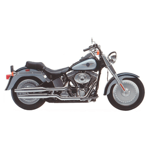 Spare parts and accessories for HARLEY-DAVIDSON FAT BOY (VERGASER)
