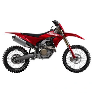 Desmo 450 MX