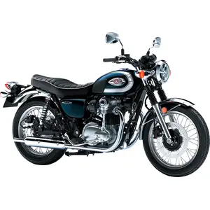 W 800 (EURO 5)