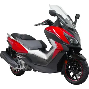 CRUISYM 300I (EURO 4)