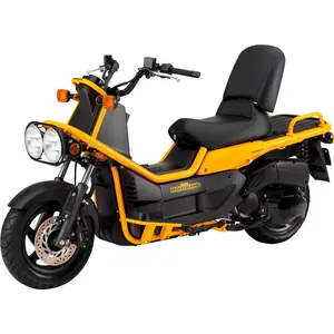 PS 250 BIG RUCKUS