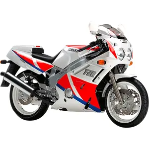 Spare parts and accessories for YAMAHA FZR 600 Louis