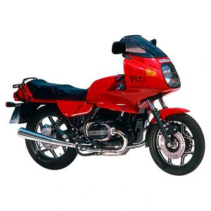 R 100 RS (EINARMSCHWINGE)