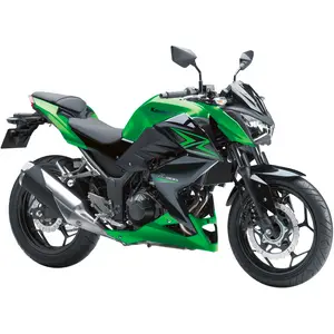 Z 300
