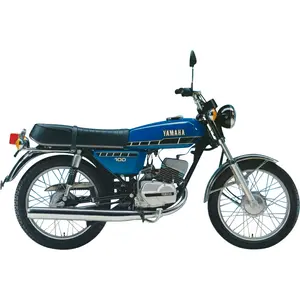 RS 100 DX