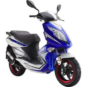 F-ACT 50 CITY/EVO