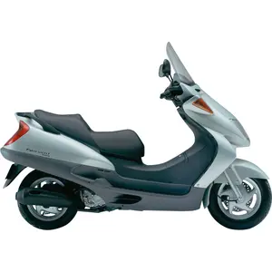 FES 250 FORESIGHT (4-TAKTER)