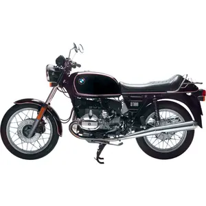 R 100