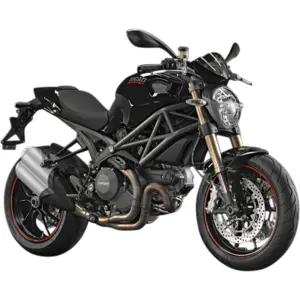 MONSTER 1100 EVO