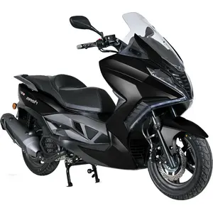 Belena 300