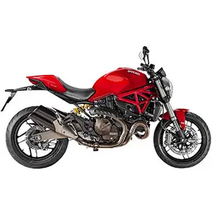 MONSTER 821 /STRIPE /DARK