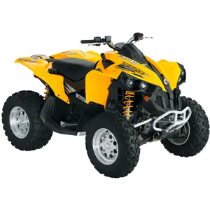 RENEGADE 800 HO