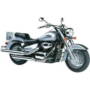 M 800 INTRUDER