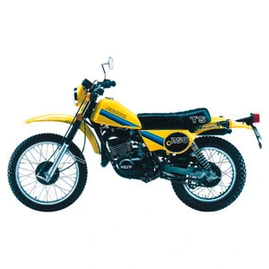 TS 250 ER