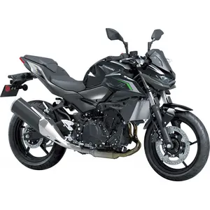 Z 500 (Euro 5+)