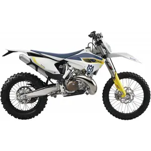 TE 300