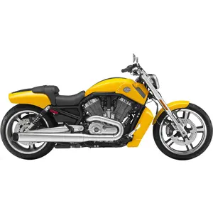 V-ROD MUSCLE