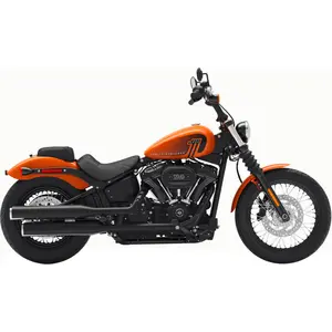 SOFTAIL STREET BOB (114 CUI)