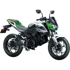 Z e-1 /Sport