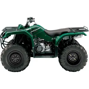 BRUIN 350 AN
