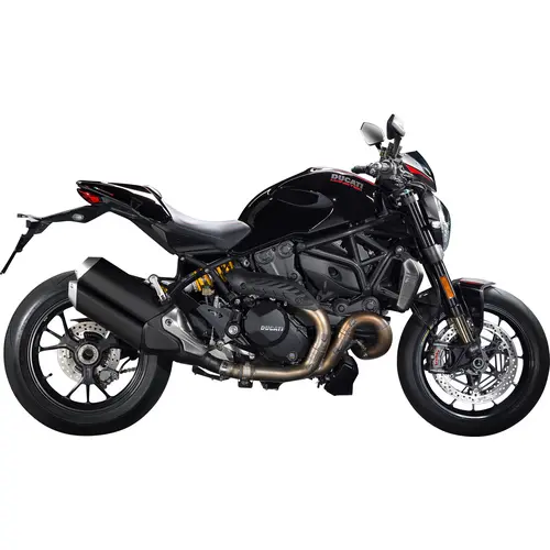 Ducati MONSTER 1200 R (EURO 4) - M1200R/16