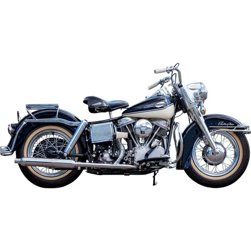 Harley-Davidson ELECTRA-GLIDE (PANHEAD) - FLB-74