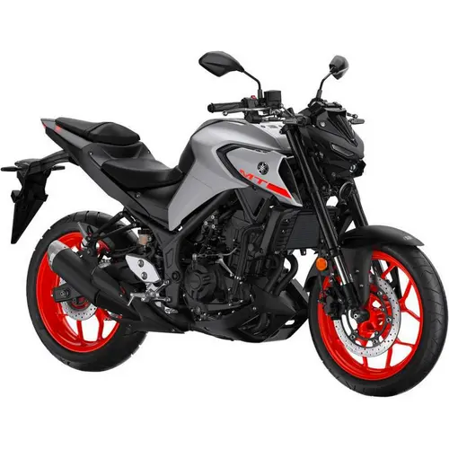 Yamaha MT-03 (EURO 4) - RH12/MT03
