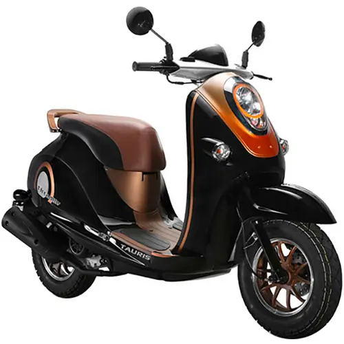 Tauris PICCADILLY 50 (4-TAKTER) - PICCA-50