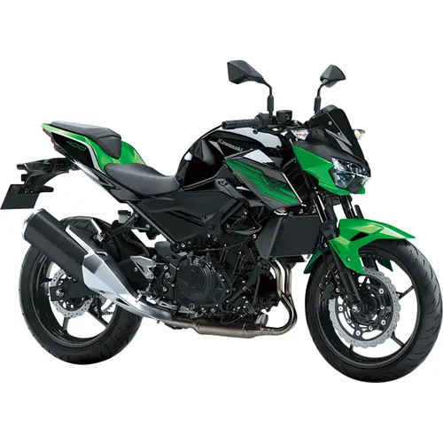 Kawasaki Z 400 (EURO 4) - ER400D